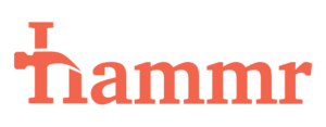 Hammr Logo (Orange)